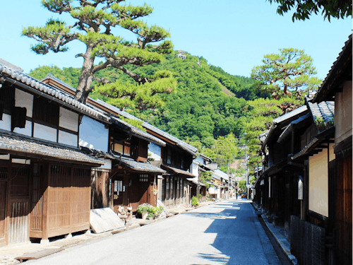 旧市街の街並みがある近江八幡市
