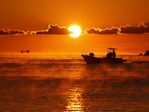 太平洋に面した自然豊かな町です