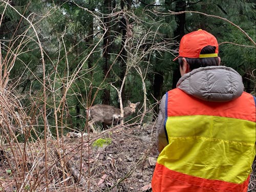 地域おこし協力隊の仕事を体験!