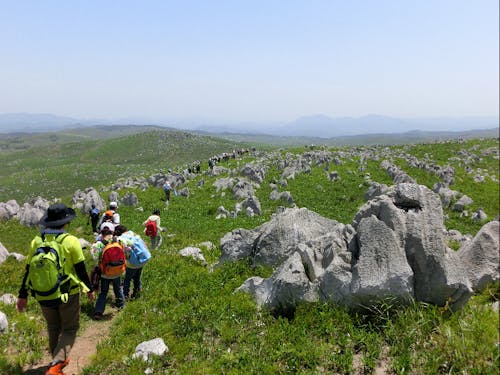 特別天然記念物 秋吉台