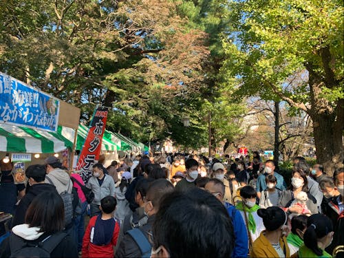 大商工業祭「国立天下市」 ©️国立市商工会青年部