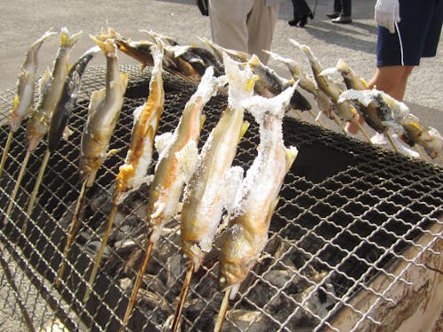 「四万十川のアユが安い!」と驚くのも、産地の特権!