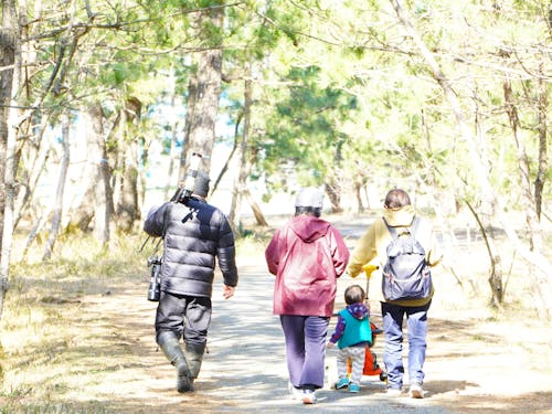 海辺の松原を家族でお散歩。波の音、潮風、鳥のさえずりが心地いい