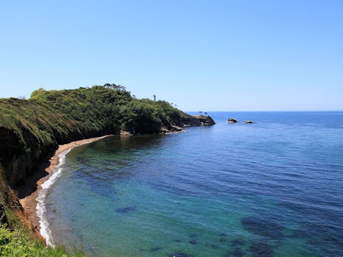 コバルトブルーに染まる日本海では、海洋環境や漁業を学ぶ。