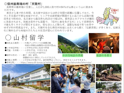 チラシ裏面(上部)