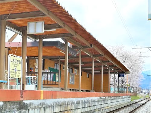 別所線駅舎と桜
