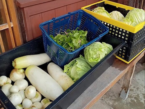 ご近所さんが持ってきてくれた「第二の通貨」。