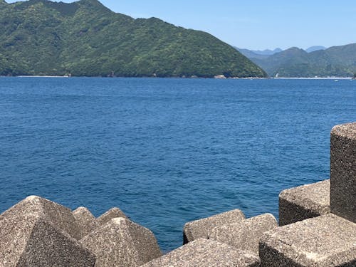 尾鷲港から望む海