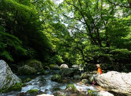 小田深山