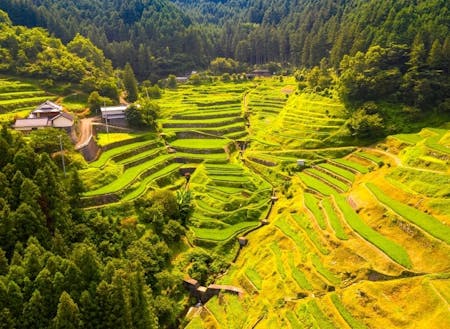 泉谷の棚田