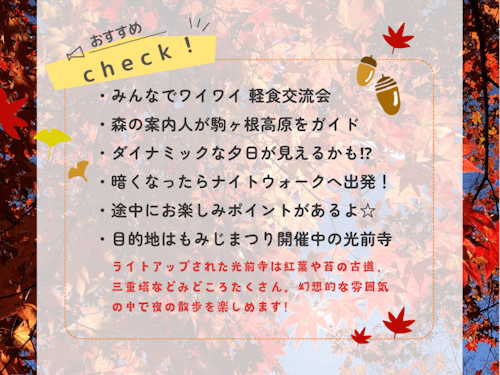 おすすめポイント