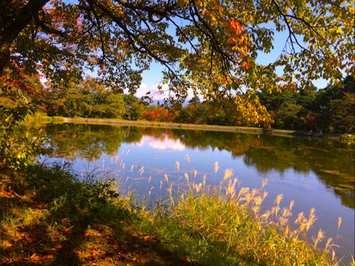 駒ヶ根高原の秋