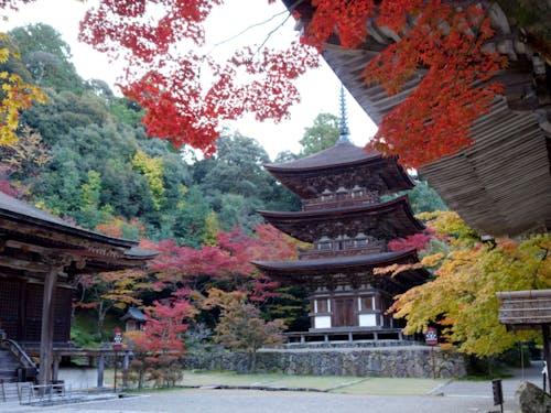 平安時代開創の湖東三山西明寺