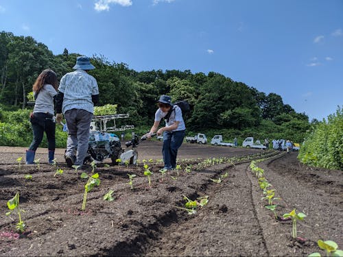 地元産品「えごま」の取材風景です