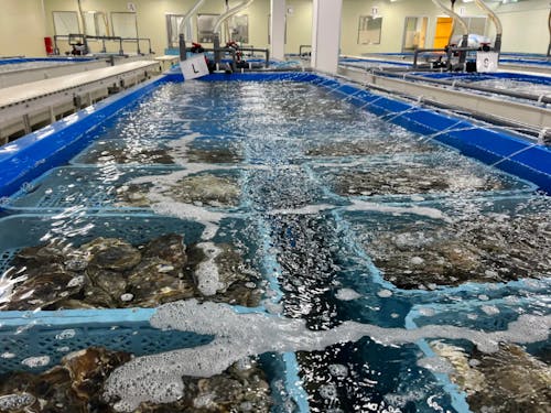 地元の事業者と連携した宿泊プランの企画も季節ごとに実施