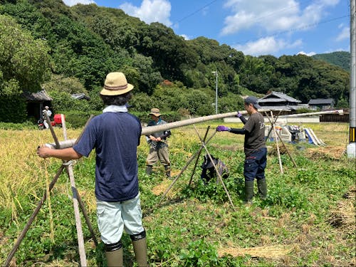 移住者がお米をつくる「みんな田んぼ」