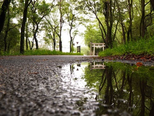 雨上がり、空気が澄んで何度も深呼吸したくなる