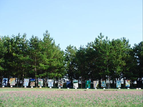 松原でイベントの開催も色々あります。こちらは潮風のキルト展の風景