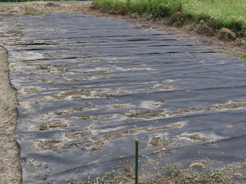 契約が成立した畑地