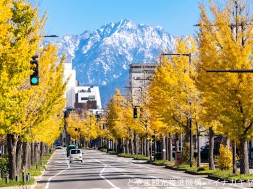 富山市 平和通り