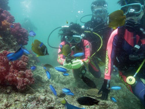 アウトドア天国 延岡(ダイビング)