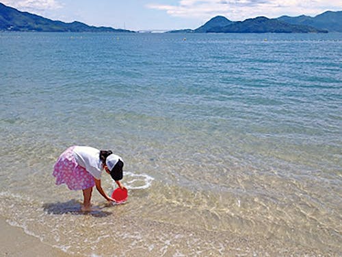 穏やかな瀬戸内海で海遊びをしませんか