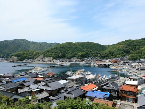 通地域の街並み