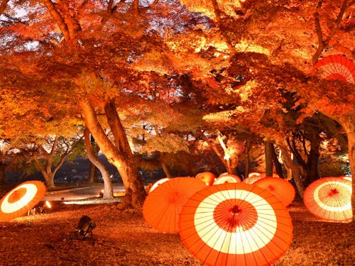 津山城もみじまつり