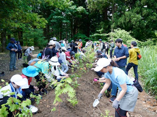 植樹祭の様子