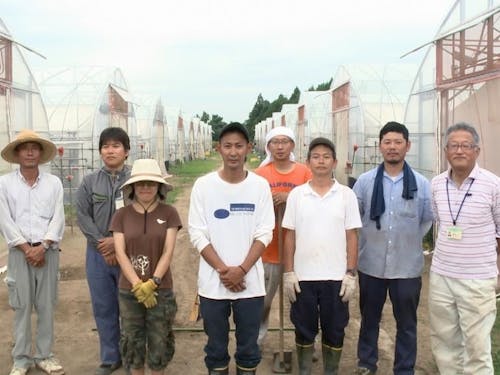 研修用ハウス。研修生1人に1~2棟割当てられます。