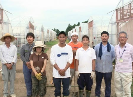 研修用ハウス。研修生1人に1~2棟割当てられます。