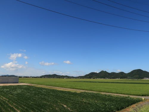 ありのままの田園風景を楽しむフットパス
