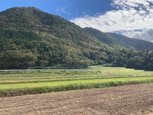 鷹巣地区の山と田んぼ