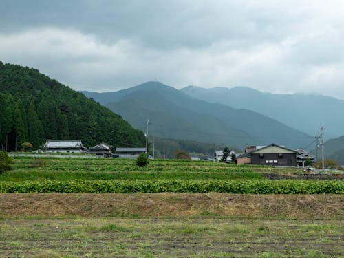 自然豊かな多可町での農業体験