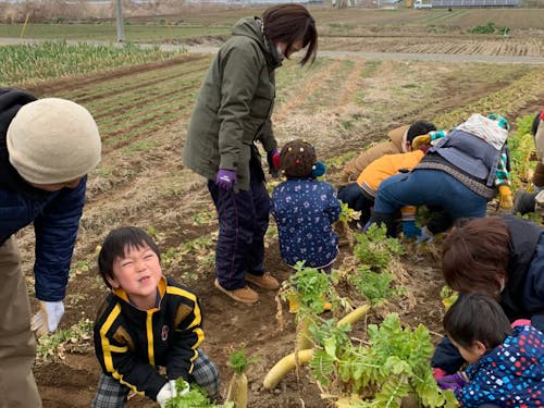 親子向けの畑ツアーの様子