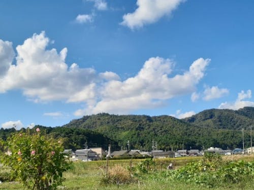 さいとう農園から見える風景。気持ちのいい景色が広がります。