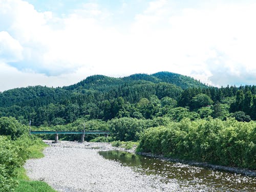 開拓していきたい岩崎の山