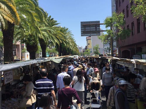 地域との繋がりを感じる暮らしも(日曜市)