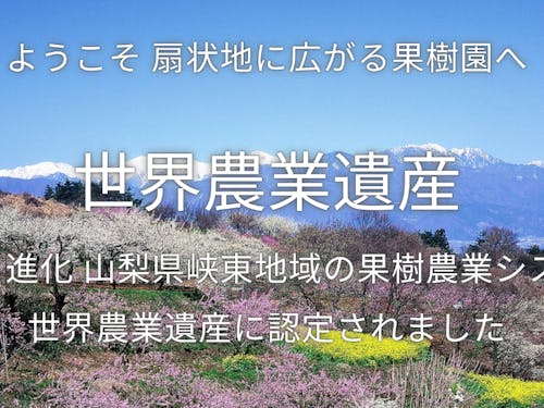 世界農業遺産認定の扇状地