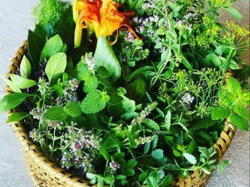 ハーブや森の山野草がふんだんに使われたサラダ