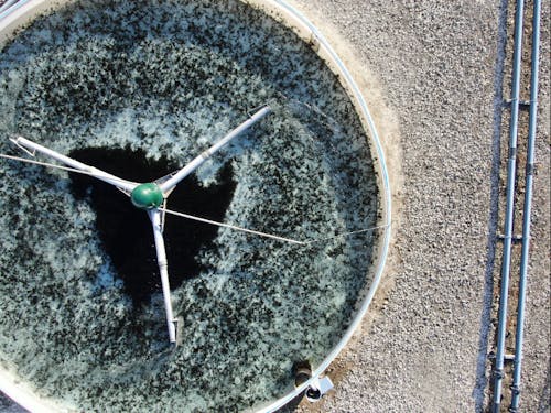 陸上養殖イメージ