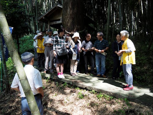 観光ボランティアガイド