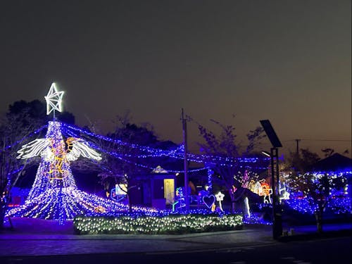 LED7万級のイルミネーションで、普段とは違った幻想的な駅南公園に生まれ変わります。