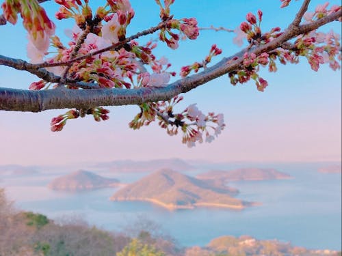 荘内半島の紫雲出山から見る瀬戸内海の島々は絶景