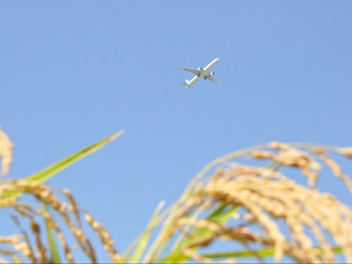 地域とともに羽ばたきたいあなたを応援します