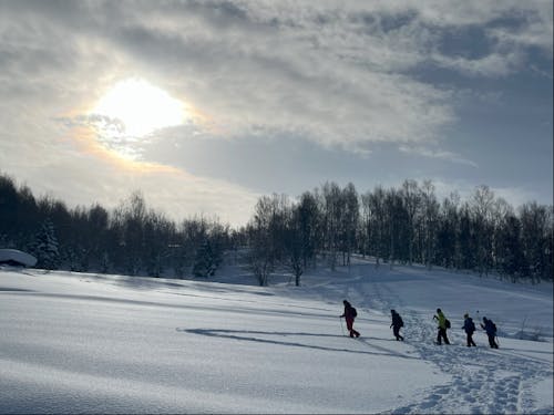 小高い丘をサクサクのぼるスノーシュー