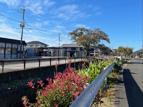 当日見学できる空き家のすぐそばには、こんな景色が広がっています。