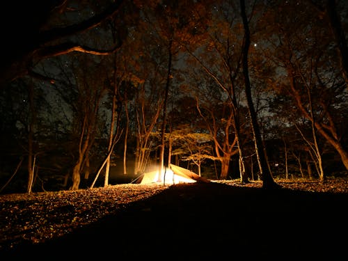 大自然に囲まれてのテント泊