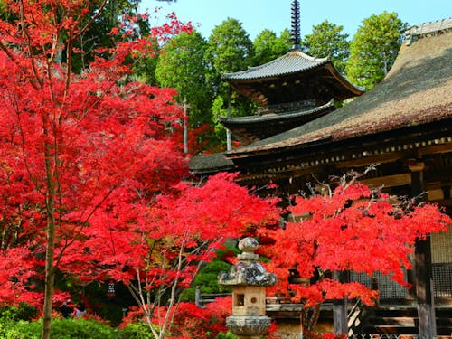  常楽寺