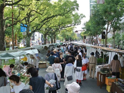 たくさんの人でにぎわう日曜市。更なる活性化を目指しています!